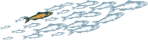 Cada marca es diferente cada marca es diferente